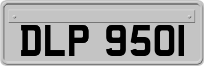 DLP9501