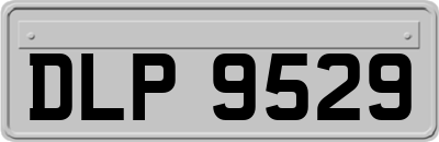 DLP9529