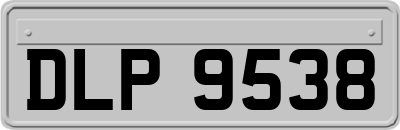 DLP9538