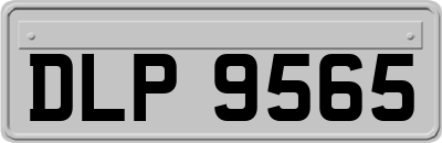 DLP9565