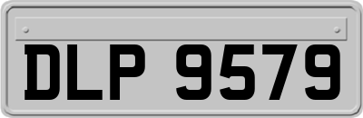 DLP9579