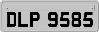 DLP9585