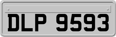 DLP9593