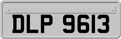 DLP9613