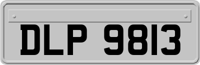 DLP9813