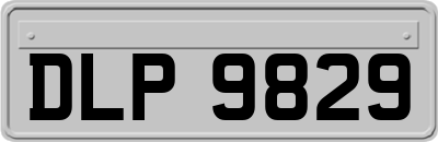 DLP9829