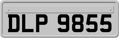 DLP9855