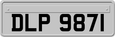 DLP9871