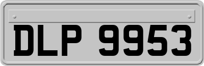 DLP9953