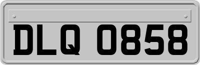 DLQ0858