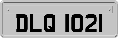 DLQ1021
