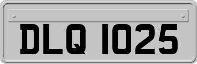 DLQ1025