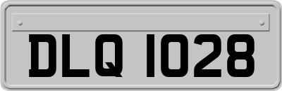 DLQ1028