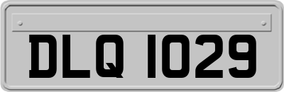DLQ1029