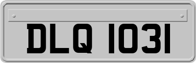 DLQ1031