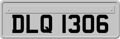 DLQ1306