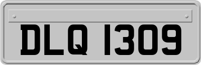 DLQ1309