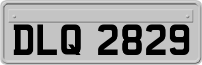 DLQ2829