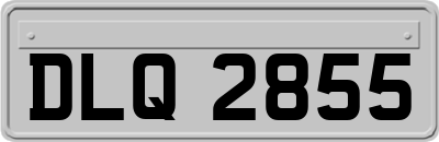 DLQ2855