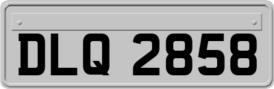 DLQ2858