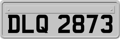 DLQ2873