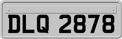 DLQ2878