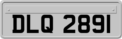 DLQ2891