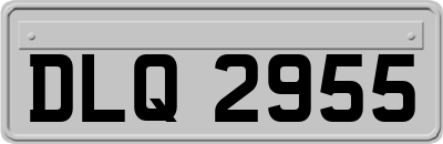 DLQ2955