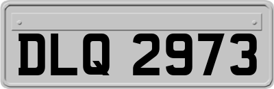 DLQ2973