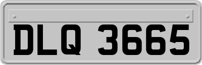 DLQ3665