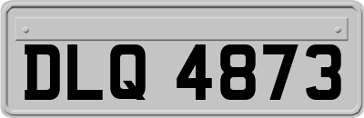DLQ4873