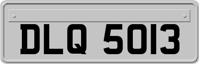 DLQ5013
