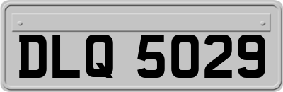 DLQ5029