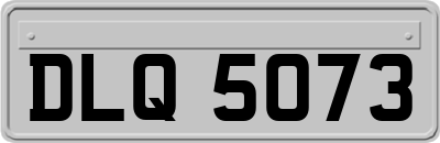 DLQ5073