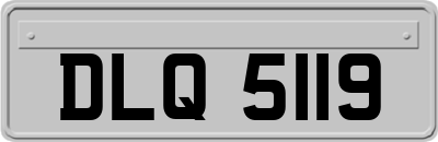 DLQ5119