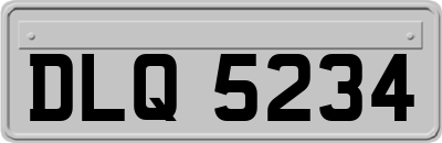 DLQ5234