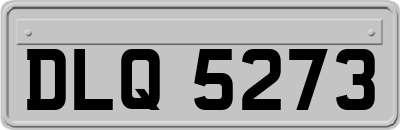 DLQ5273