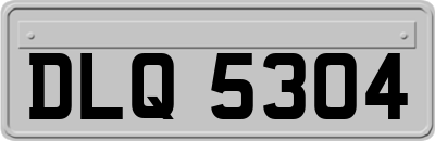 DLQ5304