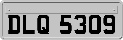 DLQ5309