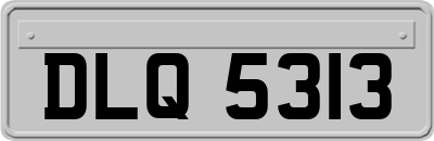 DLQ5313