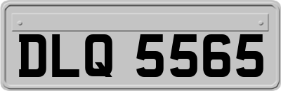 DLQ5565