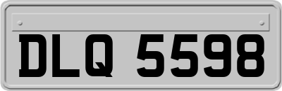 DLQ5598