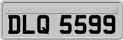 DLQ5599