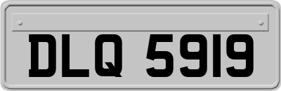 DLQ5919