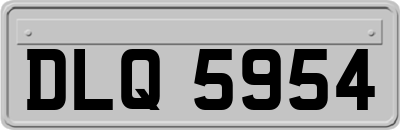 DLQ5954