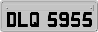 DLQ5955