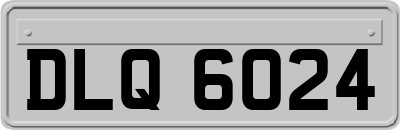 DLQ6024