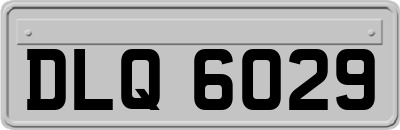 DLQ6029