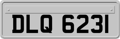DLQ6231