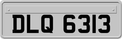 DLQ6313
